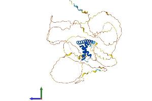 AlphaFold protein structure predicition of Human Recombinant TOX Protein, UniprotID O94900
