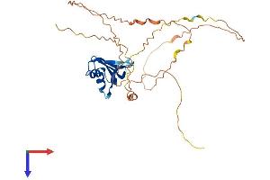 AlphaFold protein structure predicition of Mouse Recombinant Dazl Protein, UniprotID Q64368