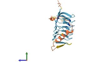 AlphaFold protein structure predicition of Human Recombinant DCTN6 Protein, UniprotID O00399