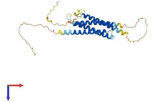 AlphaFold protein structure predicition of Human Recombinant RGS7BP Protein, UniprotID Q6MZT1