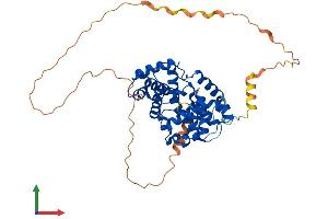 AlphaFold protein structure predicition of Human Recombinant CCNB1 Protein, UniprotID P14635