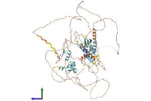 AlphaFold protein structure predicition of Human Recombinant ZBTB10 Protein, UniprotID Q96DT7