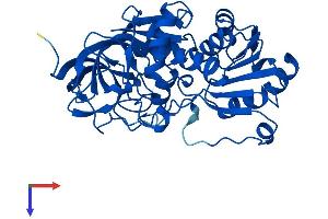 AlphaFold protein structure predicition of Mouse Recombinant Adh7 Protein, UniprotID Q64437