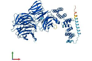 AlphaFold protein structure predicition of Human Recombinant IFT80 Protein, UniprotID Q9P2H3