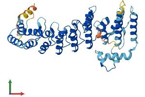 AlphaFold protein structure predicition of Human Recombinant ASB6 Protein, UniprotID Q9NWX5
