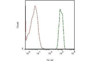 Mouse spleen cells probed with Rabbit Anti-IL-13 Polyclonal Antibody, FITC Conjugated .