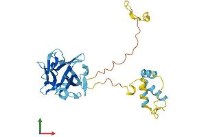 AlphaFold protein structure predicition of Mouse Recombinant Frg1 Protein, UniprotID P97376