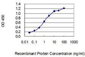 anti-SH3 and Multiple Ankyrin Repeat Domains 1 (SHANK1) (AA 2088-2161) antibody