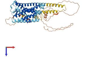 AlphaFold protein structure predicition of Mouse Recombinant Ptger4 Protein, UniprotID P32240