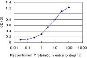 Detection limit for recombinant GST tagged HOXD11 is approximately 0.
