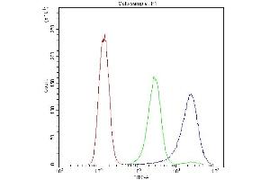 Flow Cytometry analysis of A431 cells using anti-BIK antibody (ABIN3043509).