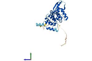 AlphaFold protein structure predicition of Human Recombinant SNX20 Protein, UniprotID Q7Z614