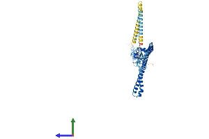 AlphaFold protein structure predicition of Mouse Recombinant Trim59 Protein, UniprotID Q922Y2