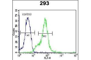 anti-Lectin, Galactoside-Binding, Soluble, 9B (LGALS9B) (AA 160-188) antibody