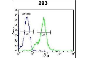 LGALS9B Antibody (Center) (ABIN654023 and ABIN2843944) flow cytometric analysis of 293 cells (right histogram) compared to a negative control cell (left histogram). (LGALS9B anticorps  (AA 160-188))