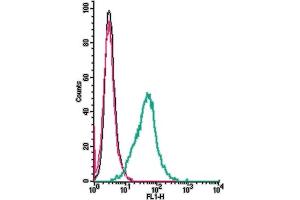 Cell surface detection of δ opioid receptor  by indirect flow cytometry in live intact mouse  microglia cells: + goat-anti-rabbit-FITC. (OPRD1 anticorps  (Extracellular))