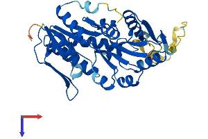 AlphaFold protein structure predicition of Human Recombinant PRPSAP1 Protein, UniprotID Q14558