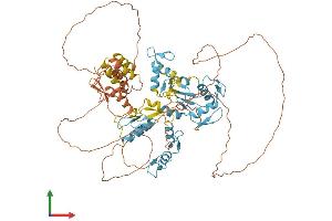 AlphaFold protein structure predicition of Human Recombinant ZBTB39 Protein, UniprotID O15060