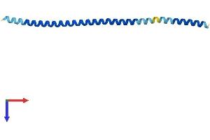 AlphaFold protein structure predicition of Mouse Recombinant Bet1l Protein, UniprotID O35153