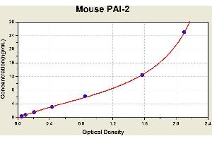 Diagramm of the ELISA kit to detect Mouse PA1 -2with the optical density on the x-axis and the concentration on the y-axis. (SERPINB2 Kit ELISA)