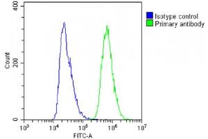 Overlay histogram showing A431 cells stained with (ABIN6243400 and ABIN6578788)(green line).