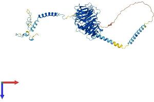 AlphaFold protein structure predicition of Mouse Recombinant Dnai2 Protein, UniprotID A2AC93