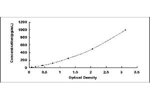 Typical standard curve (PLGF Kit ELISA)