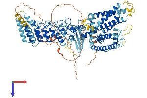 AlphaFold protein structure predicition of Mouse Recombinant Trpv3 Protein, UniprotID Q8K424