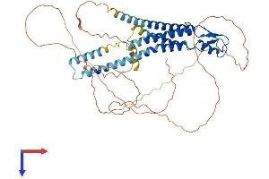 AlphaFold protein structure predicition of Mouse Recombinant Gja10 Protein, UniprotID Q9WUS4