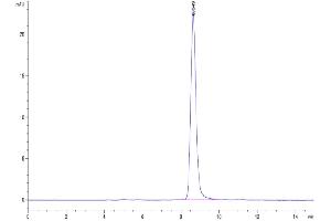 The purity of Mouse CD14 is greater than 95 % as determined by SEC-HPLC.