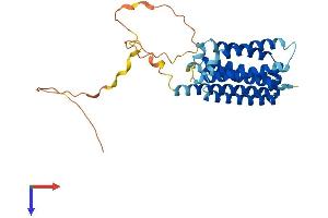 AlphaFold protein structure predicition of Human Recombinant FAIM2 Protein, UniprotID Q9BWQ8
