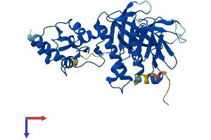 AlphaFold protein structure predicition of Mouse Recombinant Adap2 Protein, UniprotID Q8R2V5