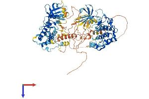 AlphaFold protein structure predicition of Human Recombinant RPS6KA5 Protein, UniprotID O75582