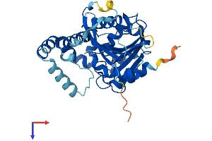AlphaFold protein structure predicition of Mouse Recombinant Ldah Protein, UniprotID Q8BVA5