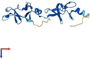 AlphaFold protein structure predicition of Mouse Recombinant Lmo1 Protein, UniprotID Q924W9