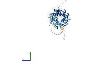 AlphaFold protein structure predicition of Human Recombinant ZNF345 Protein, UniprotID Q14585