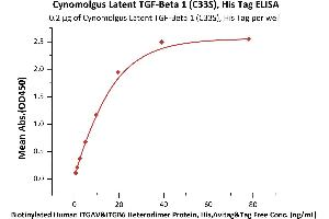 Latent TGF-beta 1 (AA 30-390) (Active) protein (His tag)