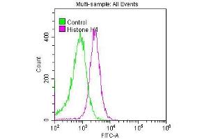 Overlay histogram showing Hela cells stained with ABIN7127297 (red line) at 1:50.