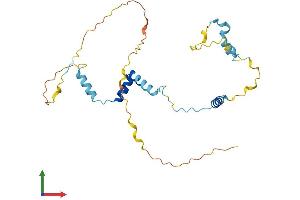 AlphaFold protein structure predicition of Human Recombinant PPP1R35 Protein, UniprotID Q8TAP8