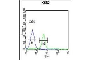 PSL Antibody (Center) (ABIN651259 and ABIN2840158) flow cytometric analysis of K562 cells (right histogram) compared to a negative control cell (left histogram).