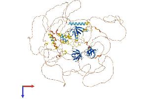 AlphaFold protein structure predicition of Mouse Recombinant Sorbs2 Protein, UniprotID Q3UTJ2
