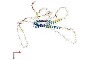 AlphaFold protein structure predicition of Human Recombinant SYNE4 Protein, UniprotID Q8N205