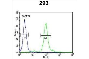 Flow Cytometry (FACS) image for anti-Finkel-Biskis-Reilly Murine Sarcoma Virus (FBR-MuSV) Ubiquitously Expressed (FAU) antibody (ABIN2998457)
