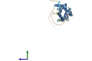 AlphaFold protein structure predicition of Human Recombinant HTR1D Protein, UniprotID P28221