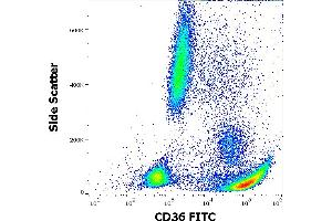 Flow cytometry surface staining pattern of human peripheral whole blood stained using anti-human CD36 (CB38) FITC antibody (4 μL reagent / 100 μL of peripheral whole blood). (CD36 anticorps  (FITC))