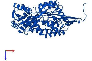 AlphaFold protein structure predicition of Human Recombinant ALDH9A1 Protein, UniprotID P49189