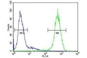 ICAM2 antibody flow cytometric analysis of HepG2 cells (right histogram) compared to a negative control (left histogram).