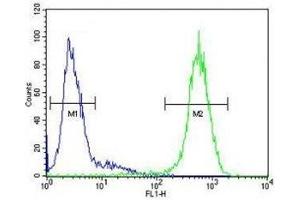 ICAM2 antibody flow cytometric analysis of HepG2 cells (right histogram) compared to a negative control (left histogram). (ICAM2 anticorps  (AA 191-218))