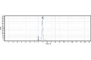anti-Mesothelin (Amatuximab Biosimilar) antibody