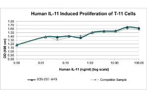SDS-PAGE of Human Interleukin-11 Recombinant Protein Bioactivity of Human Interleukin-11 Recombinant Protein. (IL-11 Protéine)